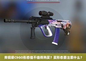 青铜级CSGO形态值不值得购买？买形态要注意什么？