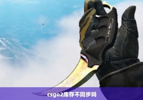 csgo2库存不同步吗