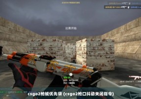 csgo2枪械优先级 (csgo2枪口抖动关闭指令)