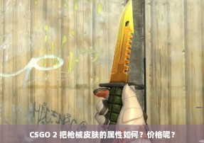 CSGO 2 把枪械皮肤的属性如何？价格呢？