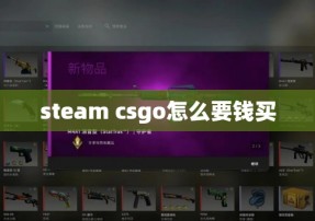 steam csgo怎么要钱买