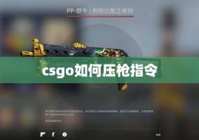 csgo如何压枪指令