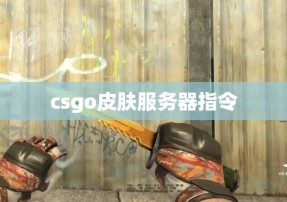 csgo皮肤服务器指令