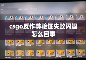 csgo反作弊验证失败闪退怎么回事