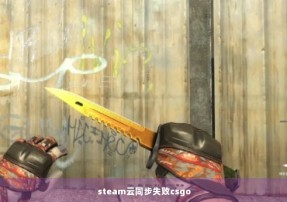 steam云同步失败csgo