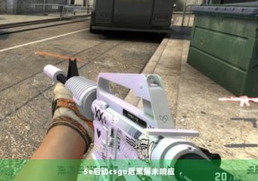 5e启动csgo后黑屏未响应