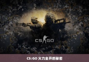 CS:GO 火力全开的秘密