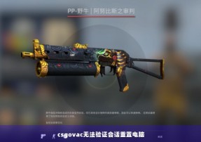 csgovac无法验证会话重置电脑