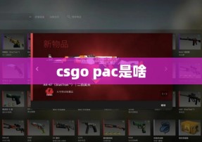 csgo pac是啥