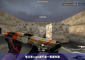 笔记本csgo进不去一黑屏就退