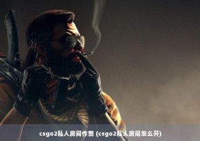 csgo2私人房间作弊 (csgo2私人房间怎么开)