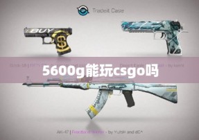 5600g能玩csgo吗