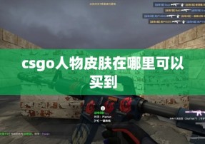 csgo人物皮肤在哪里可以买到