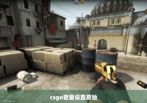 csgo音量设置原始