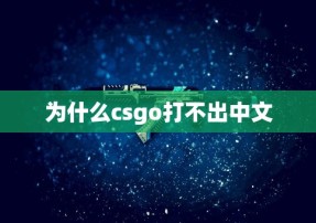 为什么csgo打不出中文