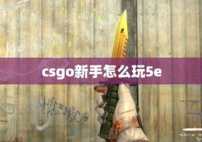 csgo新手怎么玩5e