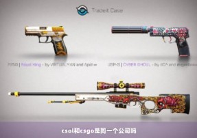 csol和csgo是同一个公司吗