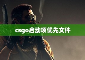 csgo启动项优先文件