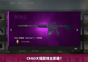 CSGO大狙配啥主武器？