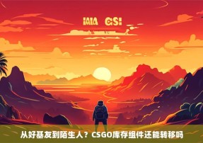 从好基友到陌生人？CSGO库存组件还能转移吗