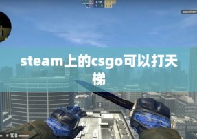 steam上的csgo可以打天梯