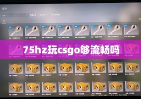 75hz玩csgo够流畅吗