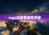 csgo玩着黑屏有声音