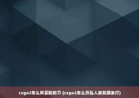 csgo2怎么购买别的刀 (csgo2怎么开私人房和朋友打)