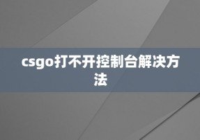 csgo打不开控制台解决方法