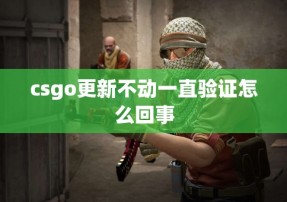 csgo更新不动一直验证怎么回事