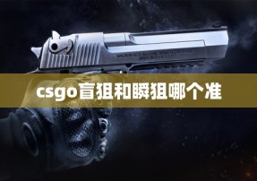 csgo盲狙和瞬狙哪个准