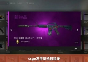 csgo左手拿枪的指令