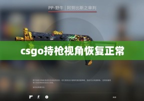 csgo持枪视角恢复正常