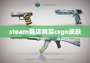 steam商店购买csgo皮肤