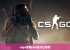 csgo里面rws是什么意思