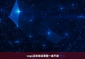 csgo正在验证更新一直不动