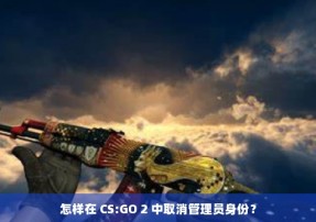 怎样在 CS:GO 2 中取消管理员身份？