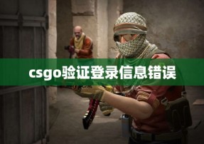 csgo验证登录信息错误