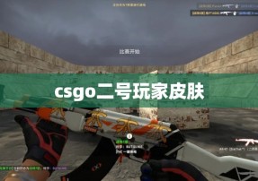 csgo二号玩家皮肤