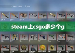 steam上csgo多少个g