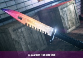 csgo2狙击开镜速度设置