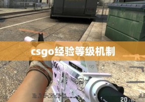 csgo经验等级机制