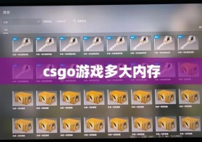 csgo游戏多大内存