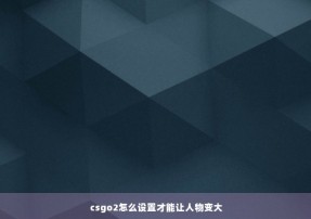 csgo2怎么设置才能让人物变大