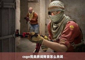 csgo完美房间背景怎么关闭