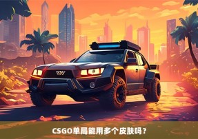 CSGO单局能用多个皮肤吗？