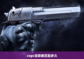 csgo定级赛匹配多久