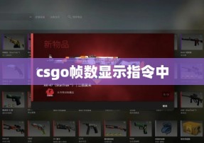 csgo帧数显示指令中