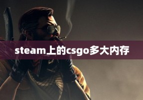 steam上的csgo多大内存