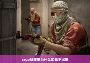 csgo躲猫猫为什么加载不出来